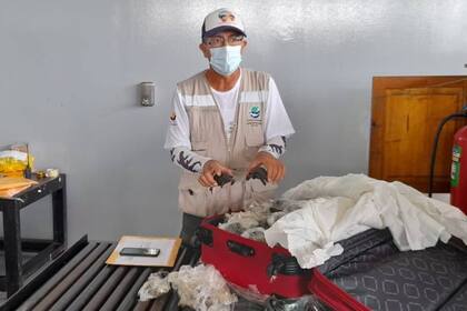Los animales fueron hallados en un operativo conjunto del Aeropuerto Ecológico de Galápagos y el Parque Nacional de Galápagos