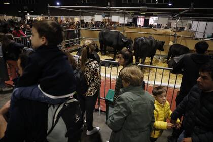 Los animales, la atracción en la Exposición Rural de Palermo, que fue caja de resonancia de las declaraciones del jefe de Estado