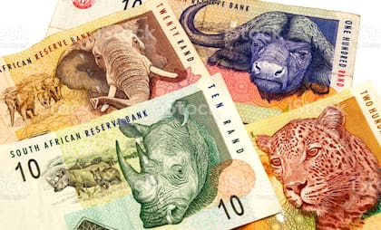 Los animales más importantes de África en los rands sudafricanos