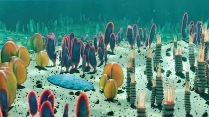 Los animales que habitaban el fondo marino del Ediacárico tenían simetrías diversas