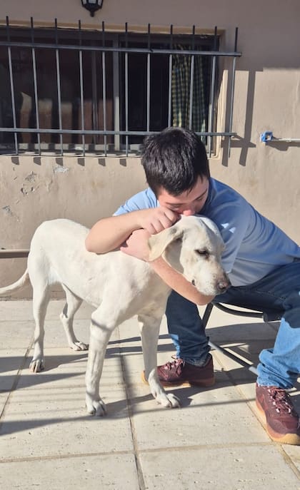 Los animales que más le gustan a Hilario son los gatos y los perros