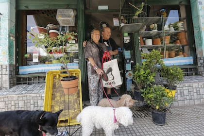 Los animales son bienvenidos en Florería Santa Teresita, y Pepe, el loro de Carlos siempre saluda a cada cliente con un "hola"