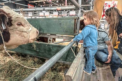 Los animales, un imán para los más chicos