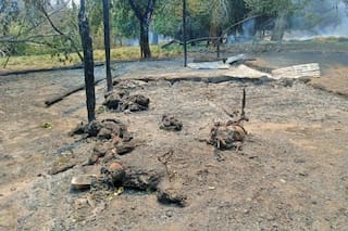 Preocupación en el campo por los incendios en El Bolsón