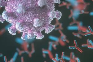 Los anticuerpos son clave para combatir los virus, pero a veces se vuelven "rebeldes" y atacan órganos y tejidos sanos