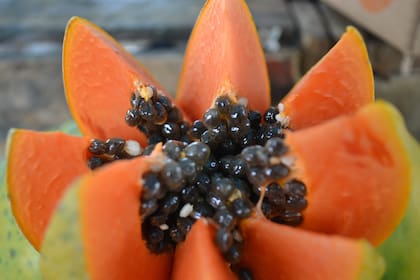 Los antioxidantes de la papaya protegen las células que producen insulina (Foto de carácter ilustrativo: PIXABAY)