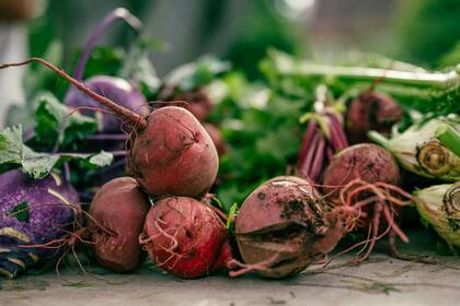 Los antioxidantes presentes en este tubérculo ayudan a prevenir enfermedades cardiovasculares (Imagen ilustrativa)