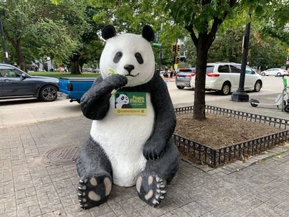 Los anuncios sobre el “Panda Palooza” se difundieron por la capital estadounidense, donde los pandas han sido la principal atracción del zoológico durante más de medio siglo