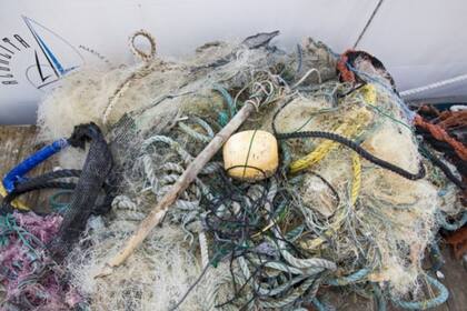 Los aparejos de pesca perdidos son especialmente letales. BBC Mundo