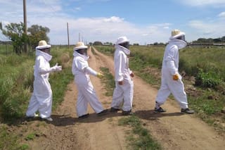 Eran estudiantes y un hallazgo revolucionario para las abejas los llevó a vender al mundo