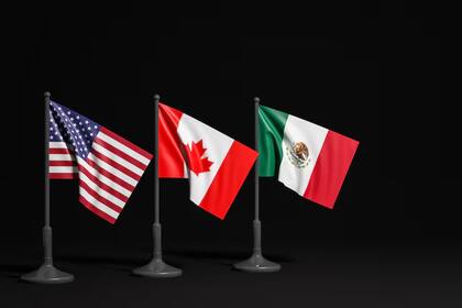 Los aranceles de Donald Trump han puesto en riesgo el comercio bilateral bajo el Tratado entre México, Estados Unidos y Canadá