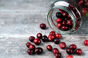 Los arándanos ganaron popularidad por sus propiedades en el campo de la salud alimenticia