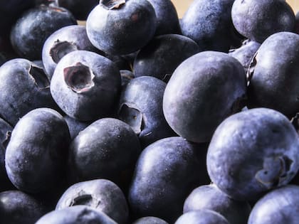 Los arándanos, por su parte, ayudan a reducir el estrés oxidativo