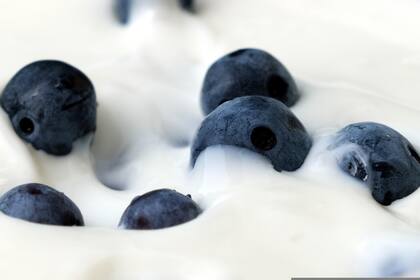 Los arándanos son pequeñas bombas de antioxidantes y vitamina C