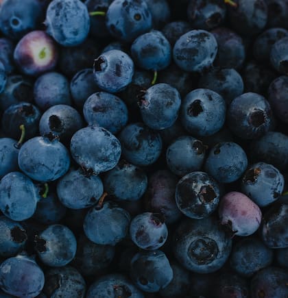 Los arándanos tienen la capacidad para proteger el cerebro por sus compuestos antioxidantes