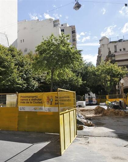 Los árboles de Arroyo, un tema de conflicto