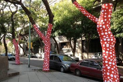 Los árboles de la cuadra del museo, intervenidos