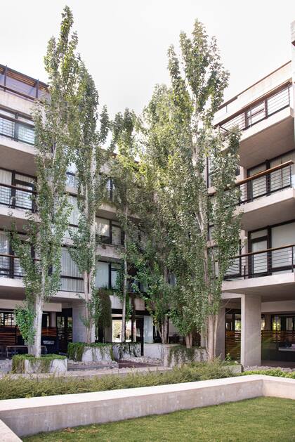 Los árboles fueron plantados en su tamaño adulto desde la planta baja hasta el último piso.