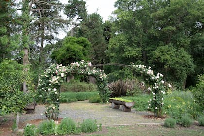 Los arcos se reubicaron en la entrada a la huerta, y allí trepan rosas ‘Pierre de Ronsard’. Antiguos bebederos y comederos se utilizan como contenedores