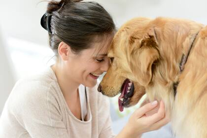 El 29 de abril se celebra el día del animal en la Argentina