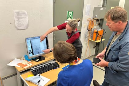 Los arqueólogos analizan imágenes de la zona donde fue hallado el tesoro vikingo