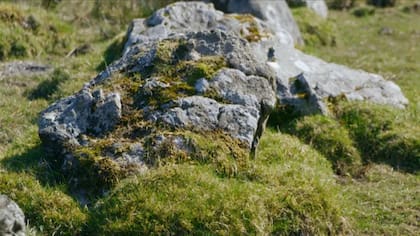 Los arqueólogos hallaron las rocas que colocó el reverendo en el 1600