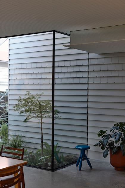 Los arquitectos agregaron mini jardines a lo largo del recorrido para iluminar la nueva superficie construida.