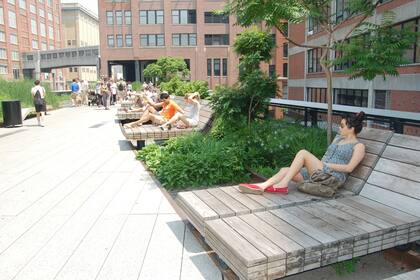 Los arquitectos que trabajaron en High Line Park lograron integrar mobiliarios muy cómodos y atractivos. En las zonas donde se pudo obtener más profundidad se plantaron especies de mayor volumen.