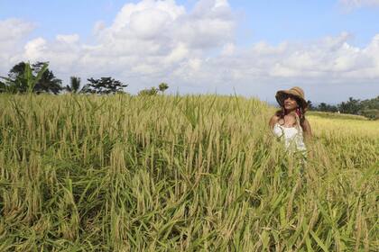 Los arrozales de Jatiluwih son un sitio inolvidable de la isla. 