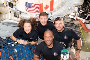 Los astronautas de Artemis II deberán ser sometidos a rigurosos chequeos médicos