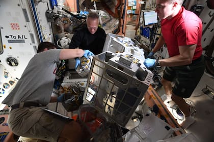 Los astronautas Robert Behnken, Doug Hurley y Chris Cassidy preparan a RiTS para su instalación fuera de la Estación Espacial Internacional