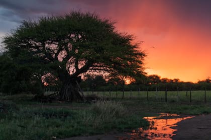 Los atardeceres en el campo.