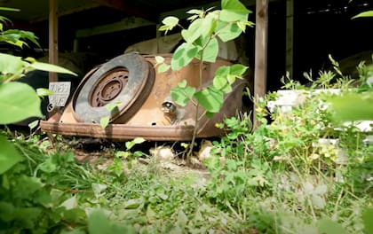 Los autos se encontraron en un galpón en Francia