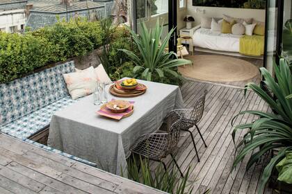 Los azareros enanos contra el vidrio de protección hacia la calle se vinculan con las copas de los árboles que se ven a lo lejos.