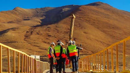 Los Azules solicitó su adhesión al RIGI a inicios de este año