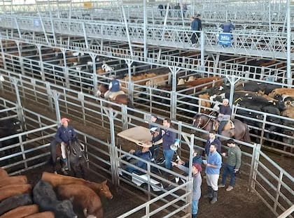 Los bancos de alimentos colaboran actualmente con la alimentación de un millón de personas en todo el país