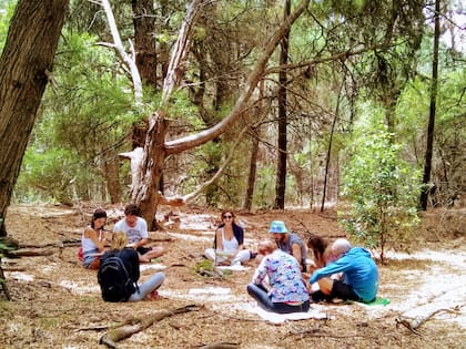 Los baños de bosque son una experiencia sensorial, cognitiva y emocional con el mundo natural en la que los participantes logran conectar consigo mismos y con el entorno