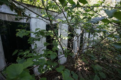 Los baños y vestuarios en ruinas invadidos por la vegetación