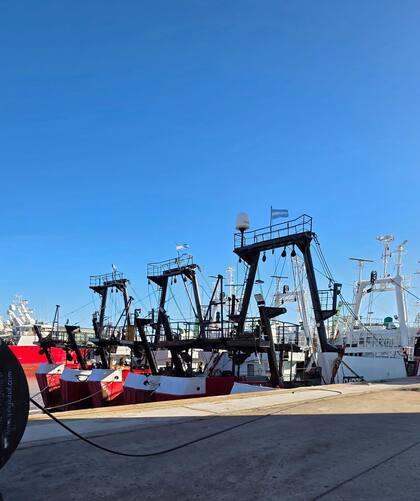 Los barcos congeladores para pescar y procesar a bordo el langostino no salieron del muelle