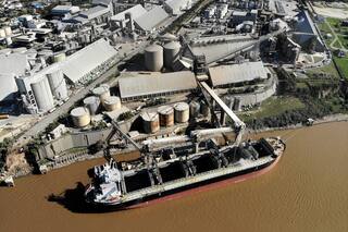 Dólar soja: un impacto económico de corto plazo que tiene consecuencias negativas en la cadena