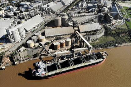 La agroexportación lleva registrados en el año US$16.091.667.614