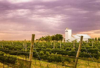 Los Bayos, bodega de Urdinarrain.
