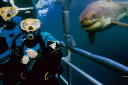 Los Benchley durante un buceo en 2005, con un tiburón que "sonríe" para la cámara
