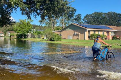 Los beneficiarios de SNAP que hayan perdido su tarjeta alimentaria, pueden solicitar un reemplazo hasta el 8 de agosto para presentar sus solicitudes (Archivo)