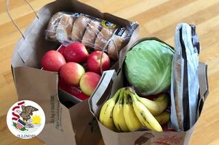 Cuándo se depositan los pagos SNAP en Illinois en diciembre 2025