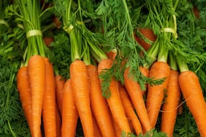 Qué le pasa al cuerpo si se consume una zanahoria todos los días