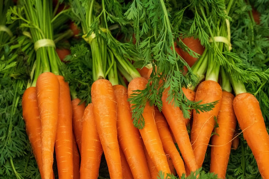 Descubrí los beneficios de la zanahoria para tu salud