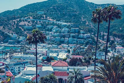 Los beneficios de contar con un número ITIN en California (Foto: Unsplash)