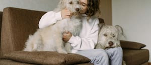 Cuáles son los beneficios de convivir con un perro
