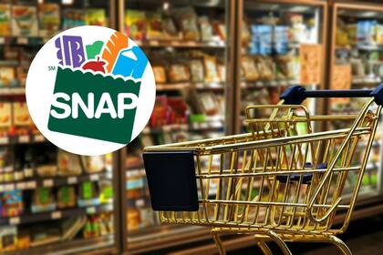 Los beneficios de SNAP en Florida se depositan de forma escalonada según el número de caso (Archivo-Pixabay/SNAP)